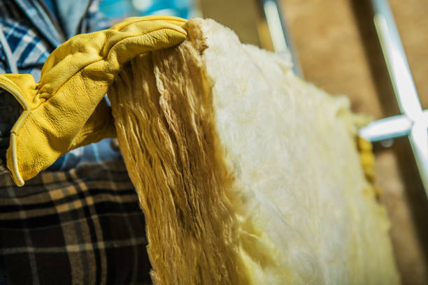 Best Insulation Contractor Near Me  in East Brooklyn, CT