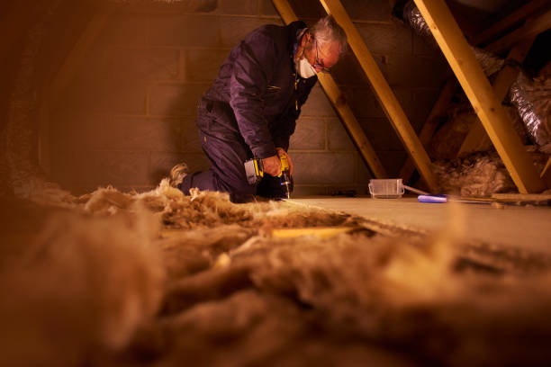 Best Insulation Contractors for Homes  in East Brooklyn, CT